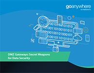 Thumbnail of the guide DMZ Secure Gateways: Secret Weapons for Data Security