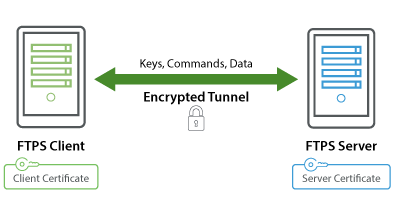 ftp_narrow_web