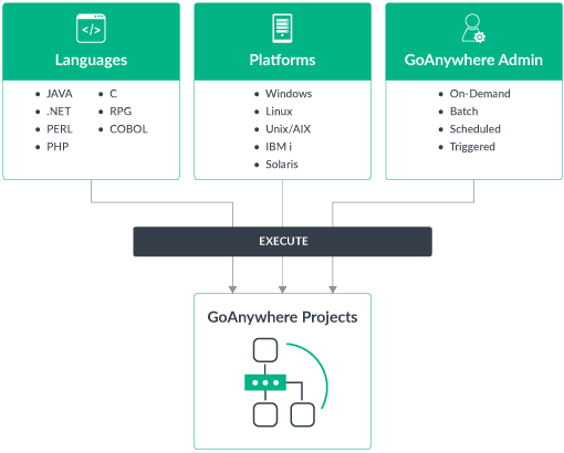 Diagram of GoAnywhere project execution