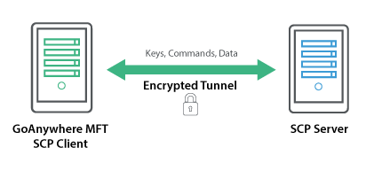 secure-scp-diagram