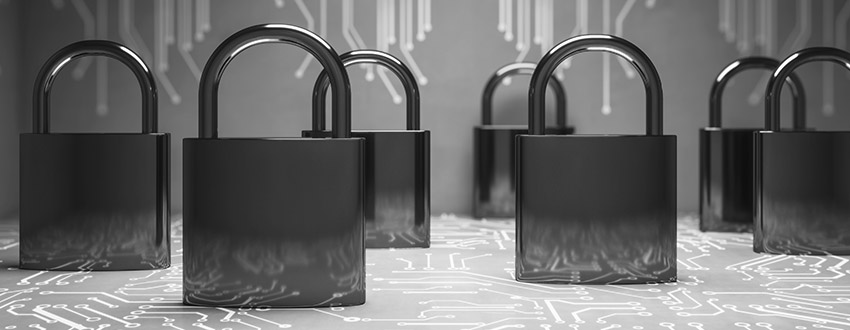 Padlocks lined up in a black and white image.