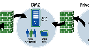 LinomaSFTPdiagram3