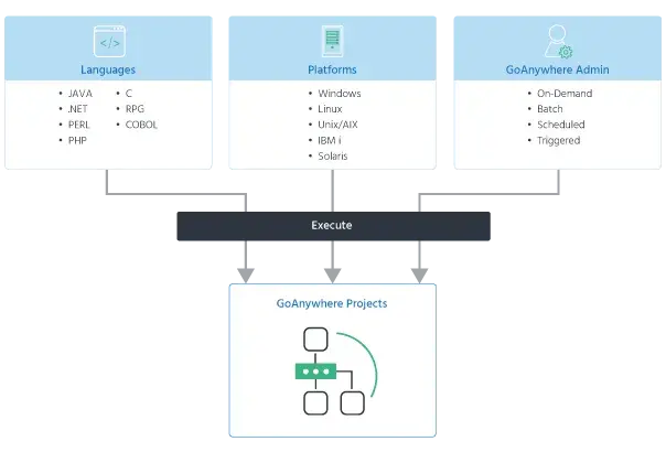 GA Projects Execution