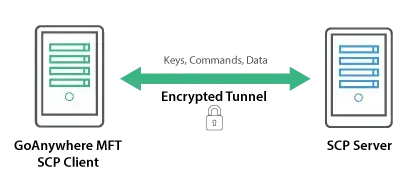 secure-scp-diagram