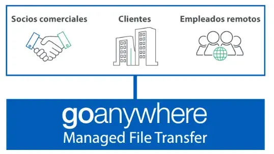 MFT File Server (Spanish)
