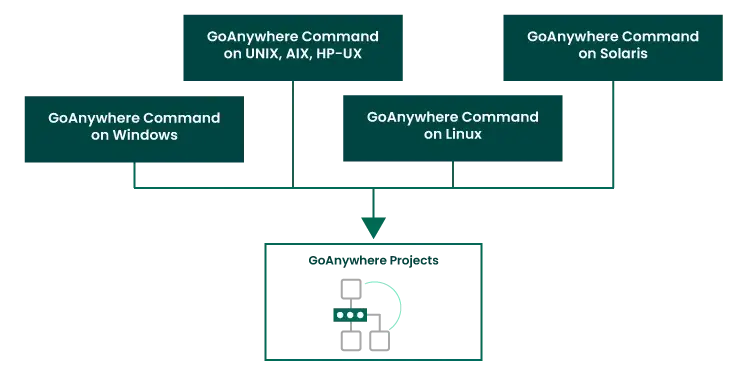 ga-execution-from-windows