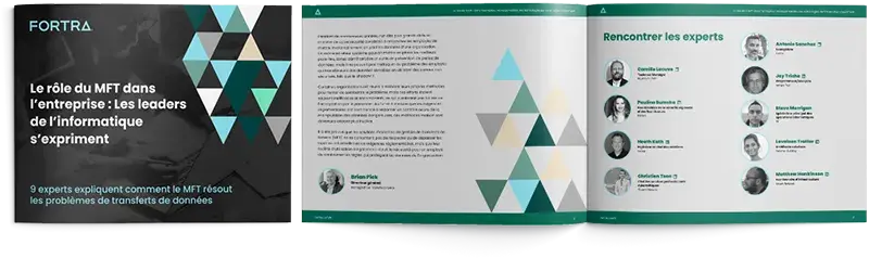 fta-ga-mft-role-in-business-guide-fr-mockup