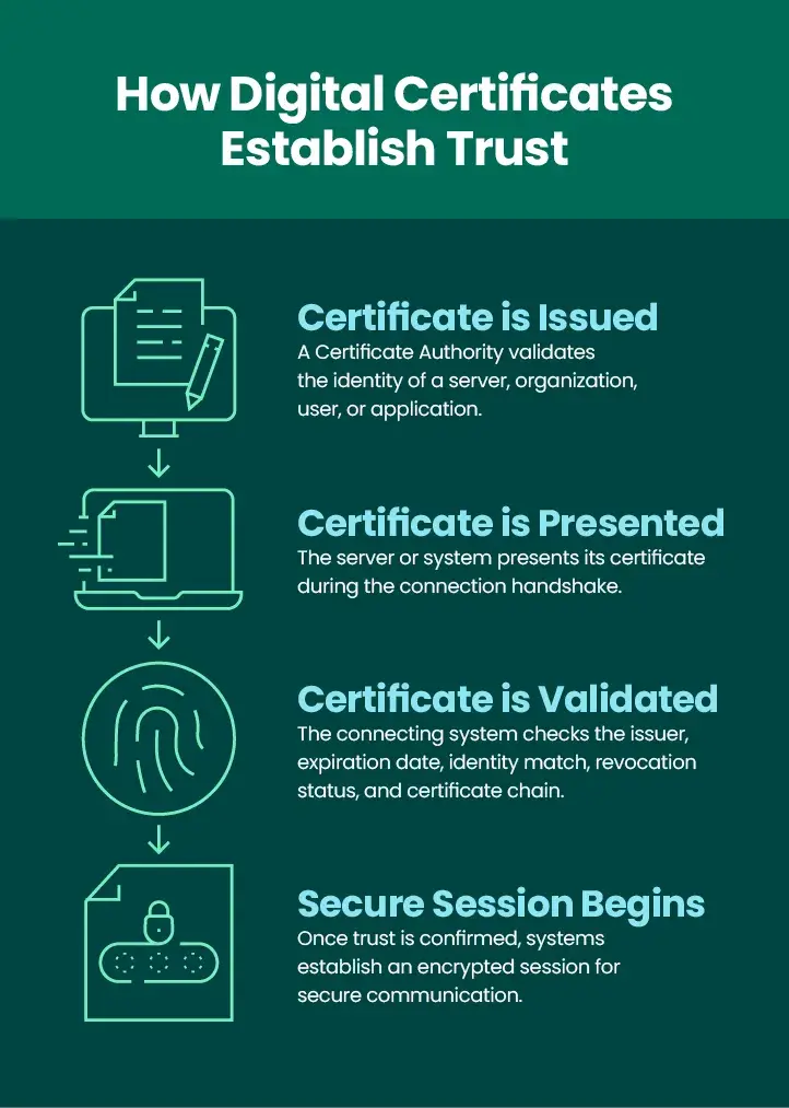 How Digital Certificates Establish Trust